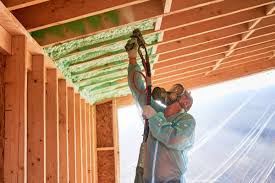 Professional Insulation in Bruceville Eddy, TX